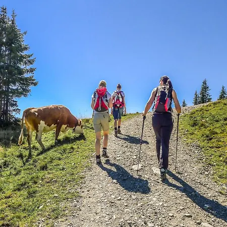 In Brixen Near Wilder Kaiser Gondola, Cleaning Included
